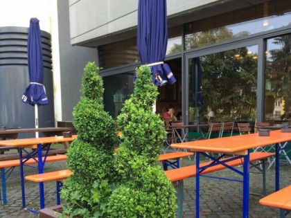 照片: Irish Pub